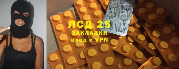шишки Заволжск