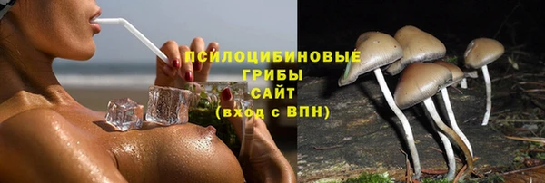 синтетический гашиш Заводоуковск