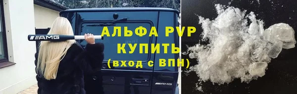 шишки Заволжск