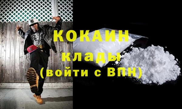 шишки Заволжск