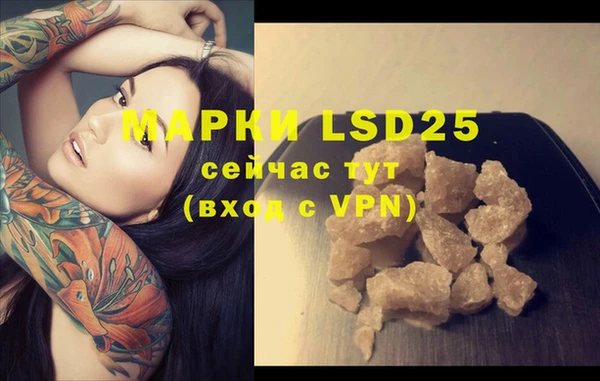 PSILOCYBIN Елабуга