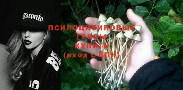 шишки Заволжск