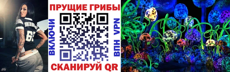 Псилоцибиновые грибы Cubensis  Купить закладки  Данков 
